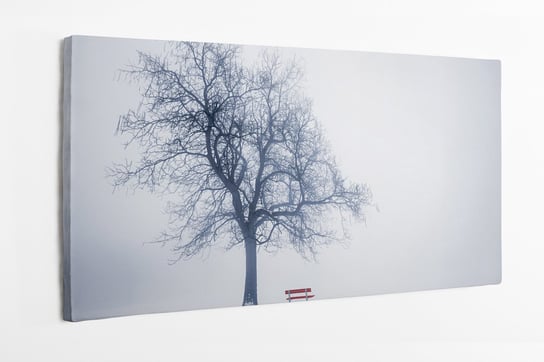 Obraz na płótnie HOMEPRINT, zimowe drzewo we mgle, ławka, łyse drzewo, zima 120x60 cm HOMEPRINT