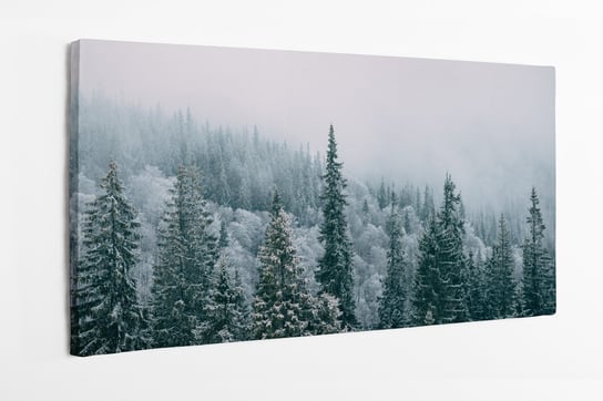 Obraz na płótnie HOMEPRINT, zimowy las iglasty, zima, śnieg 100x50 cm HOMEPRINT