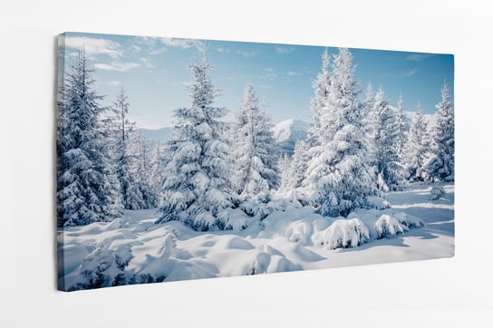 Obraz na płótnie HOMEPRINT, zimowy obraz świerka w świetle słonecznym. 140x70 cm HOMEPRINT