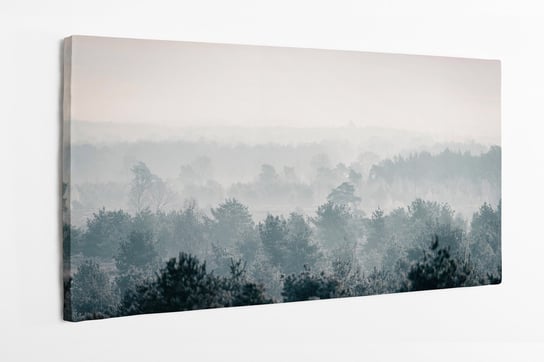Obraz na płótnie HOMEPRINT, zimowy sosnowy las, zima, drzewa 100x50 cm HOMEPRINT