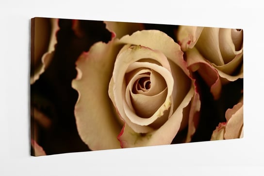 Obraz na płótnie HOMEPRINT, złota róża, kwiat, zbliżenie, bukiet, detale 125x50 cm HOMEPRINT