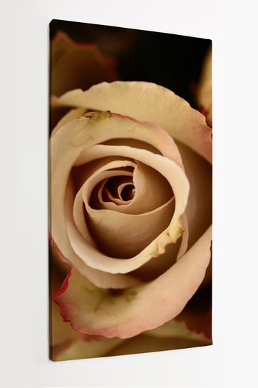 Obraz na płótnie HOMEPRINT, złota róża, kwiat, zbliżenie, bukiet, detale 50x100 cm HOMEPRINT