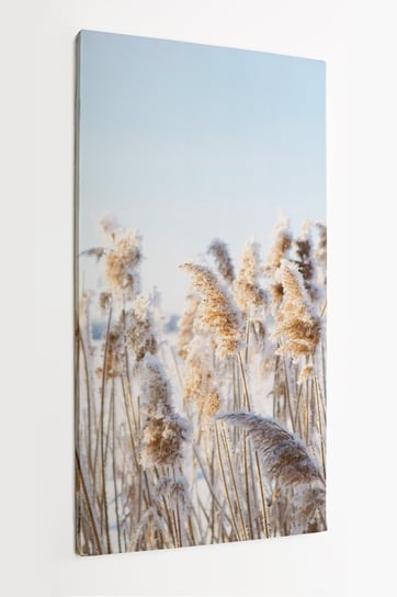 Obraz na płótnie HOMEPRINT, zmarznięta trawa zimą, szron, natura, rośliny, przyroda 50x100 cm HOMEPRINT
