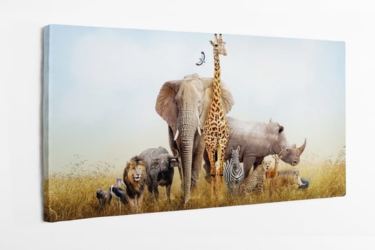 Obraz na płótnie HOMEPRINT, zwierzęta w Afryce, zwierzęta Afrykańskie, dzika przyroda 100x50 cm HOMEPRINT