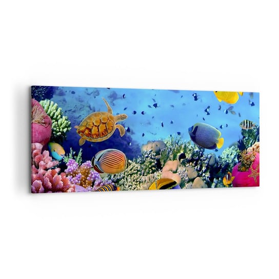 Obraz na płótnie - I co my wiemy o życiu... - 120x50cm - Rafa Koralowa Podwodny Świat Ryby - Nowoczesny obraz na ścianę do salonu do sypialni ARTTOR ARTTOR