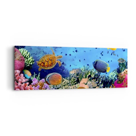 Obraz na płótnie - I co my wiemy o życiu... - 90x30cm - Rafa Koralowa Podwodny Świat Ryby - Nowoczesny Canvas obraz do salonu do sypialni ARTTOR ARTTOR