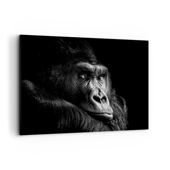 Obraz na płótnie - I co się patrzysz? - 100x70cm - Małpa Goryl Zwierzęta - Nowoczesny foto obraz w ramie do salonu do sypialni ARTTOR ARTTOR