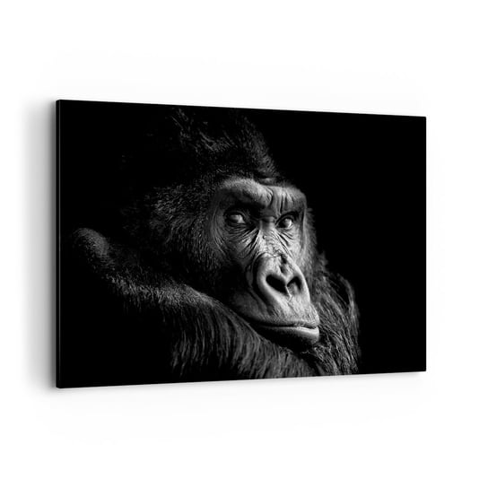Obraz na płótnie - I co się patrzysz? - 120x80cm - Małpa Goryl Zwierzęta - Nowoczesny obraz na ścianę do salonu do sypialni ARTTOR ARTTOR
