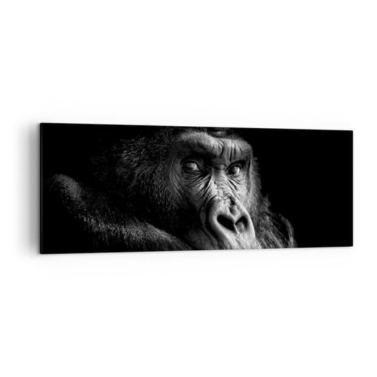 Obraz na płótnie - I co się patrzysz? - 140x50cm - Małpa Goryl Zwierzęta - Nowoczesny Canvas obraz do salonu do sypialni ARTTOR ARTTOR
