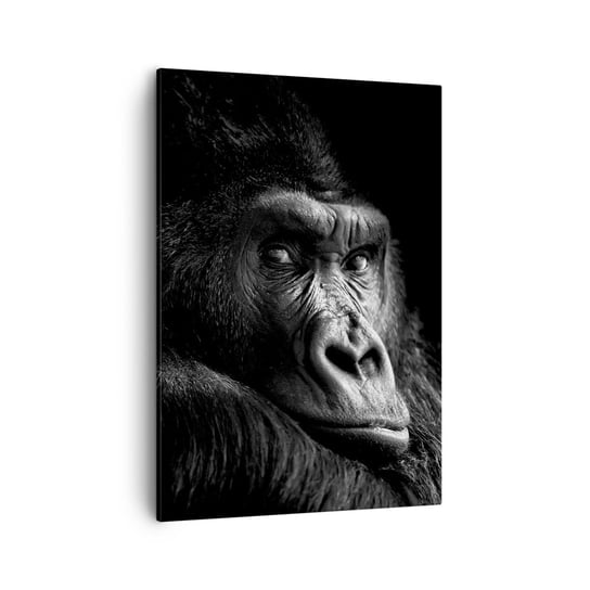 Obraz na płótnie - I co się patrzysz? - 50x70cm - Małpa Goryl Zwierzęta - Nowoczesny Canvas obraz do salonu do sypialni ARTTOR ARTTOR