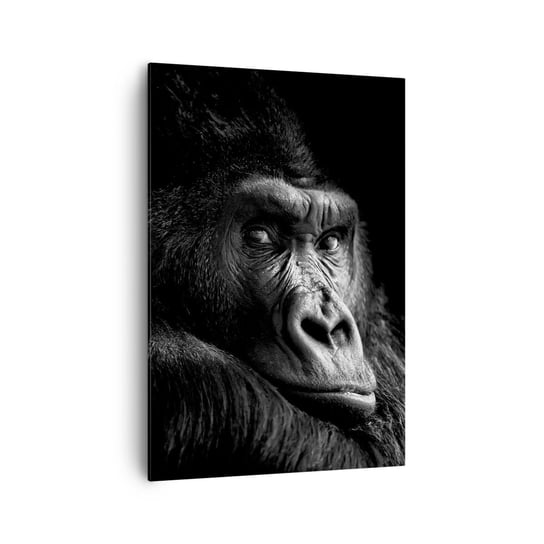 Obraz na płótnie - I co się patrzysz? - 70x100cm - Małpa Goryl Zwierzęta - Nowoczesny foto obraz w ramie do salonu do sypialni ARTTOR ARTTOR