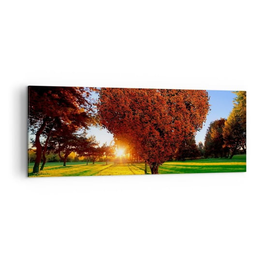 Obraz na płótnie - I jak nie kochać jesieni - 140x50cm - Krajobraz Drzewo Promienie Słońca - Nowoczesny Canvas obraz do salonu do sypialni ARTTOR ARTTOR