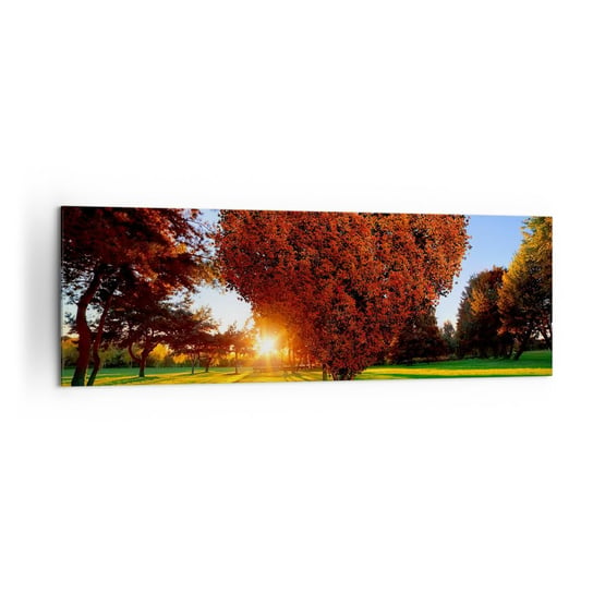 Obraz na płótnie - I jak nie kochać jesieni - 160x50cm - Krajobraz Drzewo Promienie Słońca - Nowoczesny foto obraz w ramie do salonu do sypialni ARTTOR ARTTOR