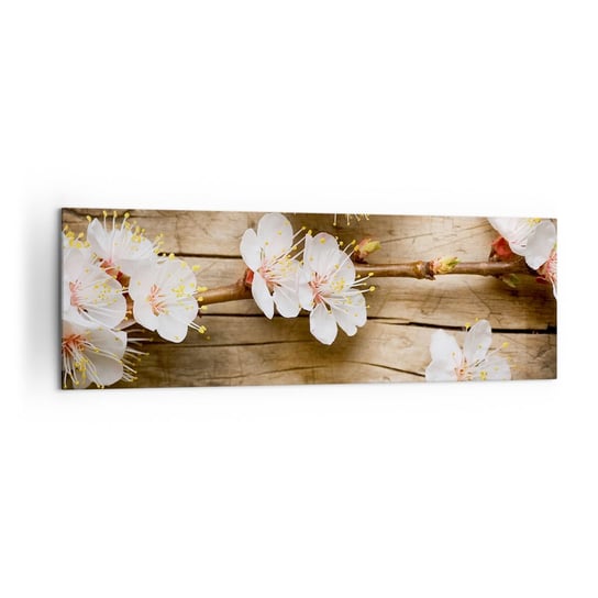 Obraz na płótnie - I stała się wiosna - 160x50cm - Kwiaty Gałązka Z Kwiatami Natura - Nowoczesny foto obraz w ramie do salonu do sypialni ARTTOR ARTTOR