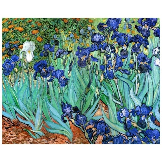 Obraz na płótnie Iris - Vincent Van Gogh 50x70 Legendarte