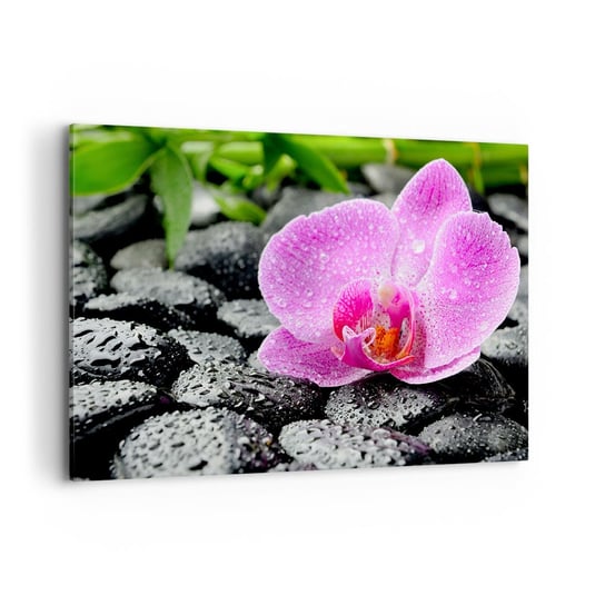 Obraz na płótnie - Jak otwarte serce - 120x80cm - Kwiaty Orchidea Storczyk - Nowoczesny obraz na ścianę do salonu do sypialni ARTTOR ARTTOR