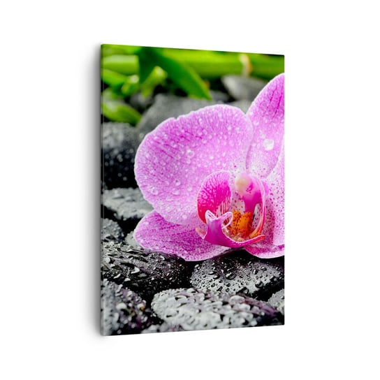 Obraz na płótnie - Jak otwarte serce - 50x70cm - Kwiaty Orchidea Storczyk - Nowoczesny Canvas obraz do salonu do sypialni ARTTOR ARTTOR
