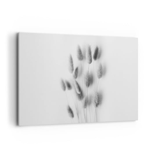 Obraz na płótnie - Jej puszystość trawa - 120x80cm - Trawa Czarno-Biały Kwiaty - Nowoczesny obraz na ścianę do salonu do sypialni ARTTOR ARTTOR