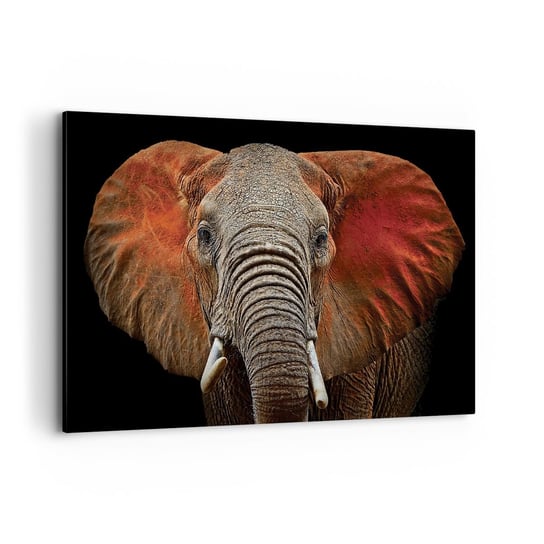 Obraz na płótnie - Jestem dziki, a ty? - 100x70cm - Słoń Zwierzęta Afryka - Nowoczesny foto obraz w ramie do salonu do sypialni ARTTOR ARTTOR