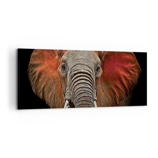 Obraz na płótnie - Jestem dziki, a ty? - 120x50cm - Słoń Zwierzęta Afryka - Nowoczesny obraz na ścianę do salonu do sypialni ARTTOR ARTTOR
