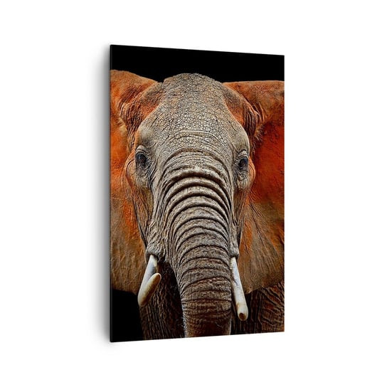 Obraz na płótnie - Jestem dziki, a ty? - 80x120cm - Słoń Zwierzęta Afryka - Nowoczesny obraz na ścianę do salonu do sypialni ARTTOR ARTTOR