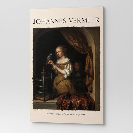 Obraz Na Płótnie Johannes Vermeer  Kobieta Karmiąca Papugę Rep00079 30X40 Wave Print