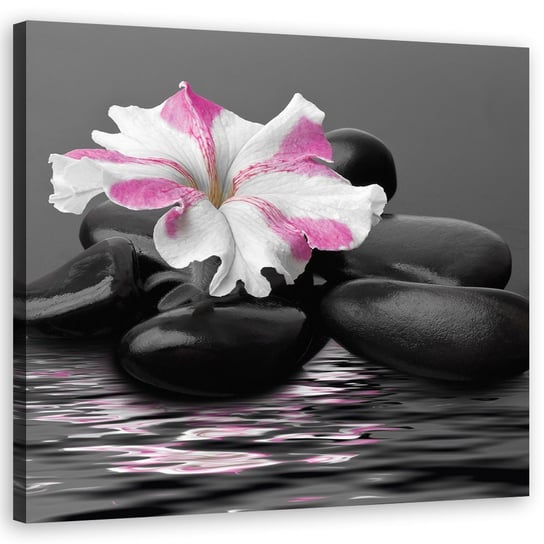 Obraz na płótnie, Kamienie, Kwiat, Różowy, Zen - 50x50 Inna marka