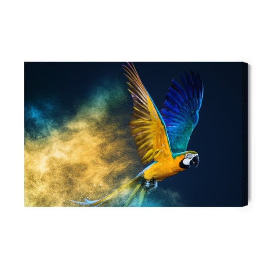 Obraz Na Płótnie Kolorowa Papuga Ara 100x70 Inna marka