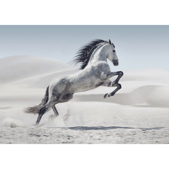 Obraz na płótnie Koń, błękitno-szary, 1 element Art-Canvas