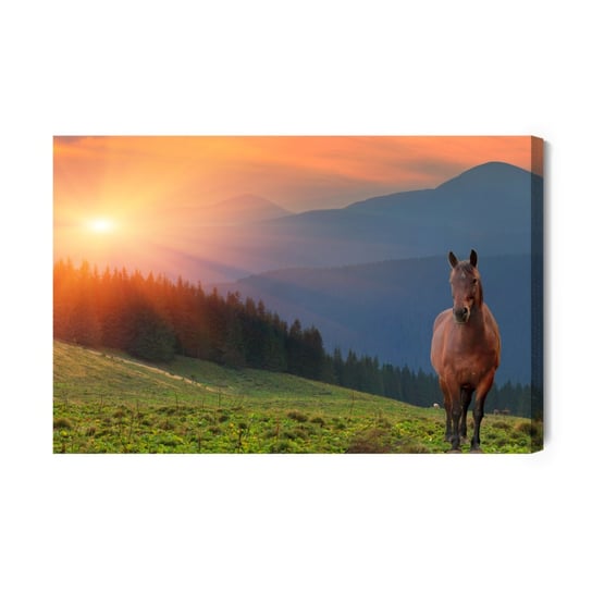 Obraz Na Płótnie Koń Na Tle Zachodu Słońca 100x70 Inna marka