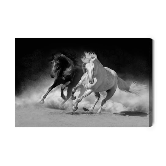 Obraz Na Płótnie Konie W Czarno-Białej Odsłonie 30x20 Inna marka