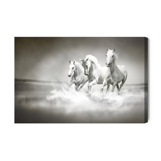 Obraz Na Płótnie Konie W Czarno-Białej Wersji 40x30 Inna marka