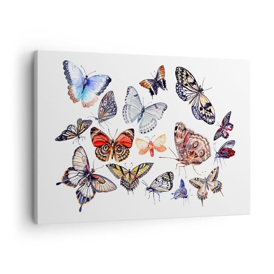 Obraz na płótnie - Koronkowy, barwny rój - 70x50cm - Dla Dzieci Kolorowe Motyle Grafika - Nowoczesny Canvas obraz do salonu do sypialni ARTTOR ARTTOR