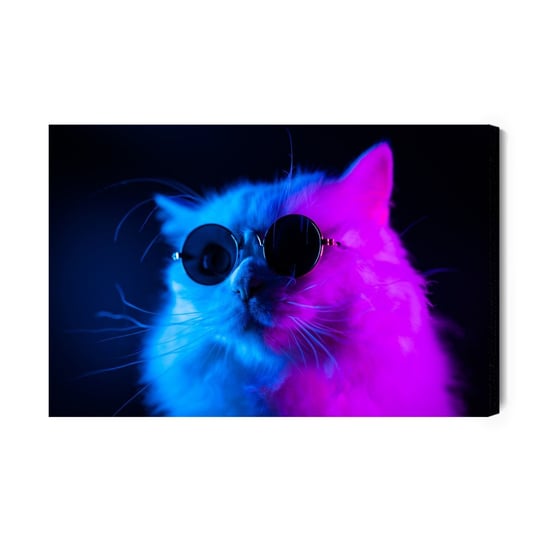 Obraz Na Płótnie Kot W Okularach Przeciwsłonecznych 40x30 Inna marka