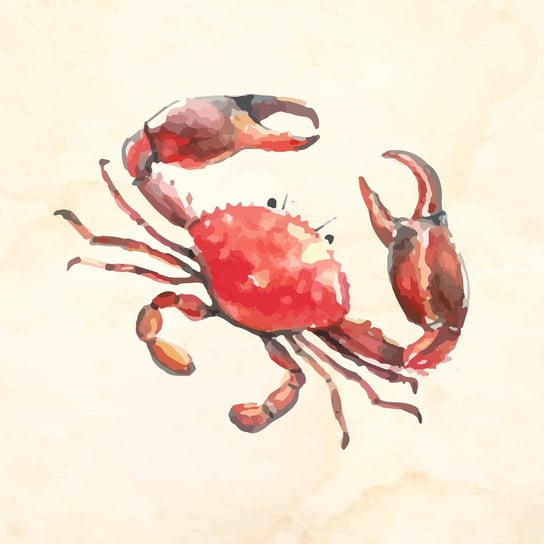 Obraz na płótnie Krab, biało-różowy Art-Canvas