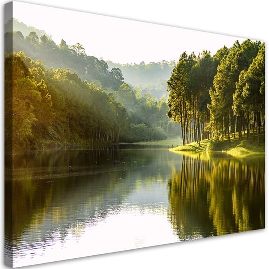 Obraz na płótnie, Krajobraz las drzewa natura - 120x80 Inna marka
