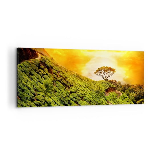 Obraz na płótnie - Krętą ścieżką, zielonym zboczem - 120x50cm - Krajobraz Plantacja Herbaty Indie - Nowoczesny obraz na ścianę do salonu do sypialni ARTTOR ARTTOR