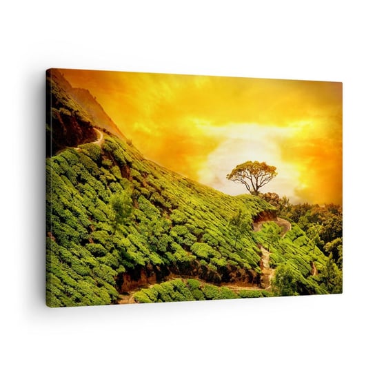 Obraz na płótnie - Krętą ścieżką, zielonym zboczem - 70x50cm - Krajobraz Plantacja Herbaty Indie - Nowoczesny Canvas obraz do salonu do sypialni ARTTOR ARTTOR