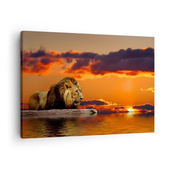 Obraz na płótnie - Król natury - 70x50cm - Lew Zachód Słońca Zwierzęta - Nowoczesny Canvas obraz do salonu do sypialni ARTTOR ARTTOR