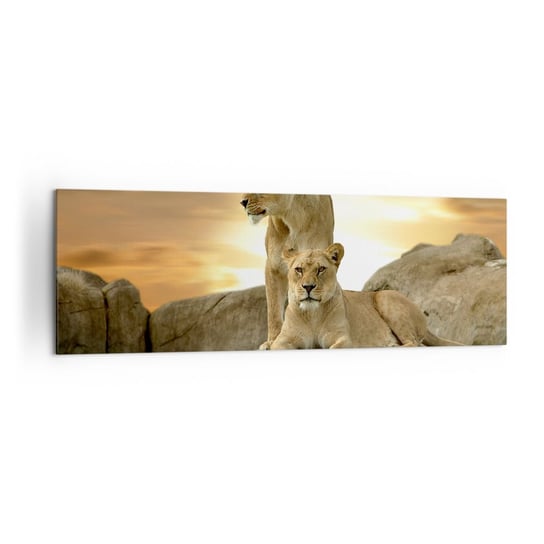 Obraz na płótnie - Królewski majestat - 160x50cm - Zwierzęta Lew Natura - Nowoczesny foto obraz w ramie do salonu do sypialni ARTTOR ARTTOR