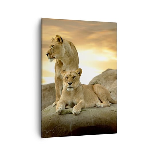 Obraz na płótnie - Królewski majestat - 50x70cm - Zwierzęta Lew Natura - Nowoczesny Canvas obraz do salonu do sypialni ARTTOR ARTTOR
