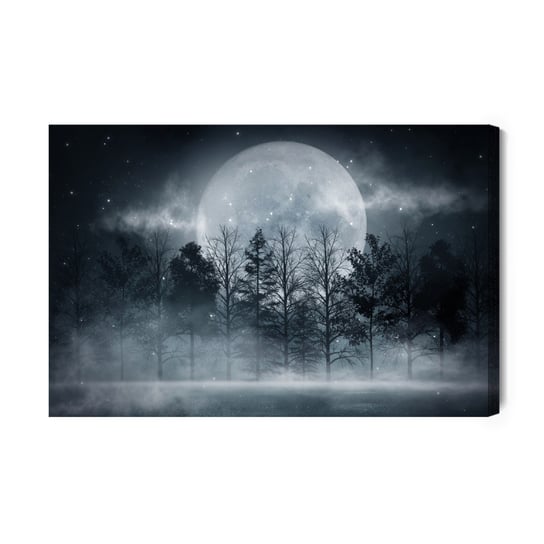 Obraz Na Płótnie Księżyc W Pełni W Zamglonym Lesie 100x70 NC Inna marka