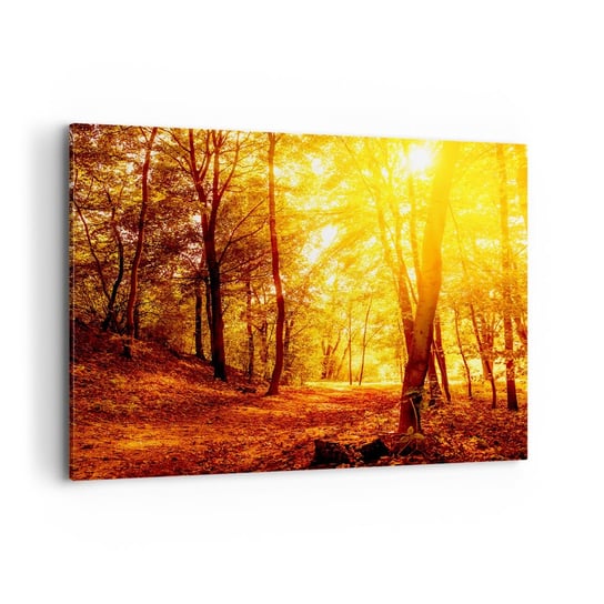 Obraz na płótnie - Ku złotej polanie - 120x80cm - Krajobraz Las Leśna Droga - Nowoczesny obraz na ścianę do salonu do sypialni ARTTOR ARTTOR