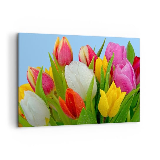 Obraz na płótnie - Kwiatowa tęcza w kroplach rosy - 120x80cm - Tulipany Kwiaty Bukiet Kwiatów - Nowoczesny obraz na ścianę do salonu do sypialni ARTTOR ARTTOR