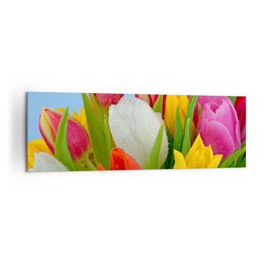 Obraz na płótnie - Kwiatowa tęcza w kroplach rosy - 160x50cm - Tulipany Kwiaty Bukiet Kwiatów - Nowoczesny foto obraz w ramie do salonu do sypialni ARTTOR ARTTOR
