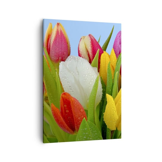 Obraz na płótnie - Kwiatowa tęcza w kroplach rosy - 50x70cm - Tulipany Kwiaty Bukiet Kwiatów - Nowoczesny Canvas obraz do salonu do sypialni ARTTOR ARTTOR