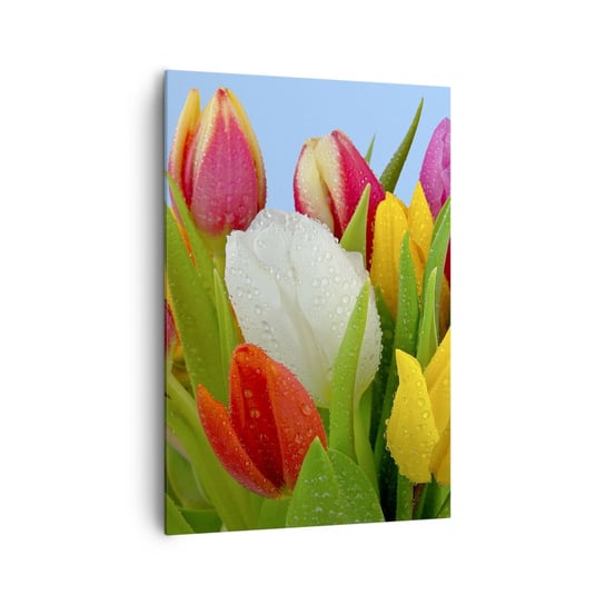 Obraz na płótnie - Kwiatowa tęcza w kroplach rosy - 70x100cm - Tulipany Kwiaty Bukiet Kwiatów - Nowoczesny foto obraz w ramie do salonu do sypialni ARTTOR ARTTOR