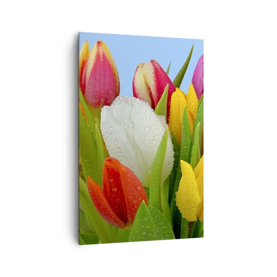 Obraz na płótnie - Kwiatowa tęcza w kroplach rosy - 80x120cm - Tulipany Kwiaty Bukiet Kwiatów - Nowoczesny obraz na ścianę do salonu do sypialni ARTTOR ARTTOR