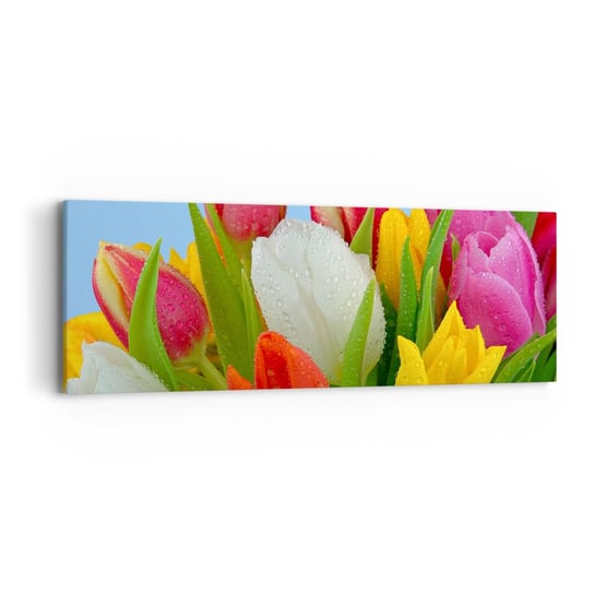 Obraz na płótnie - Kwiatowa tęcza w kroplach rosy - 90x30cm - Tulipany Kwiaty Bukiet Kwiatów - Nowoczesny Canvas obraz do salonu do sypialni ARTTOR ARTTOR
