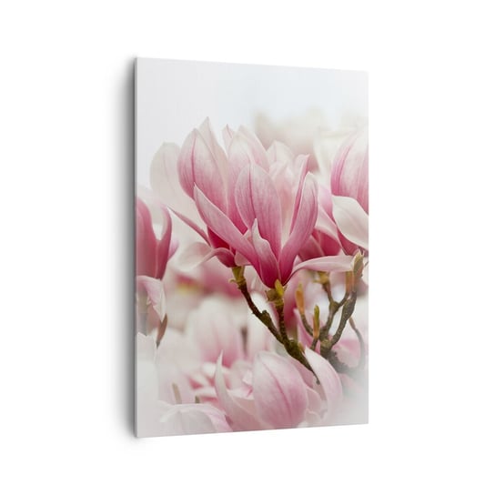 Obraz na płótnie - Kwiaty wiosny - 70x100cm - Magnolia Kwiat Delikatny - Nowoczesny foto obraz w ramie do salonu do sypialni ARTTOR ARTTOR
